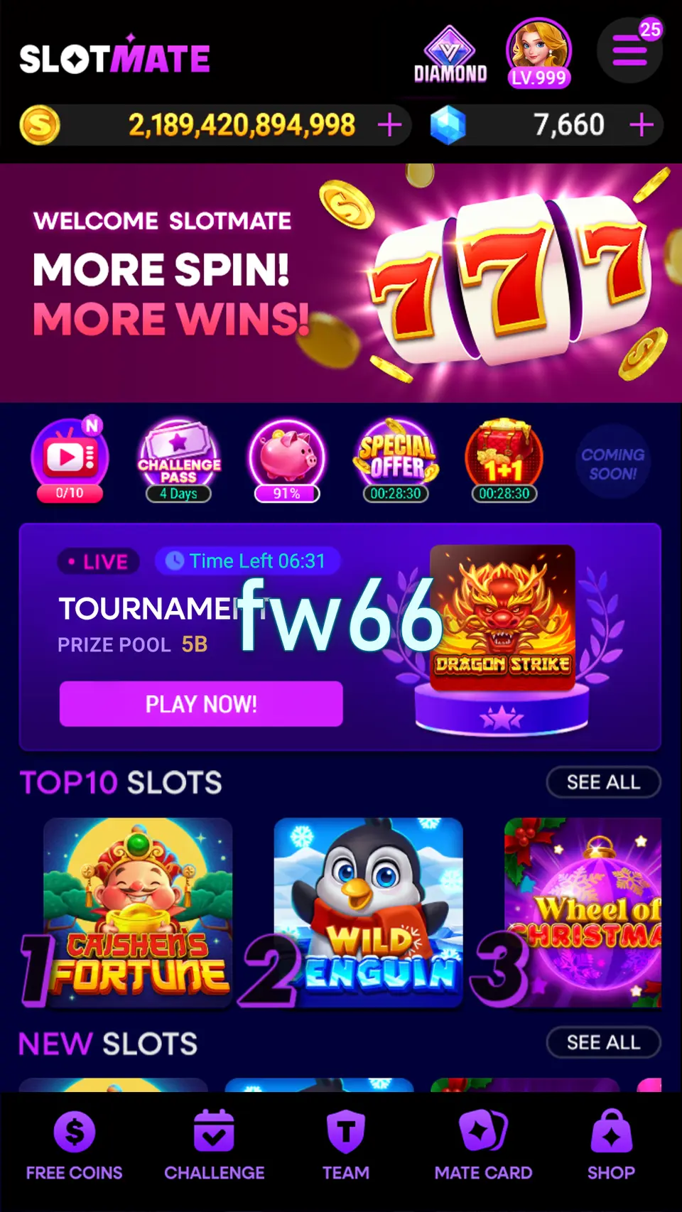 fw66 APK